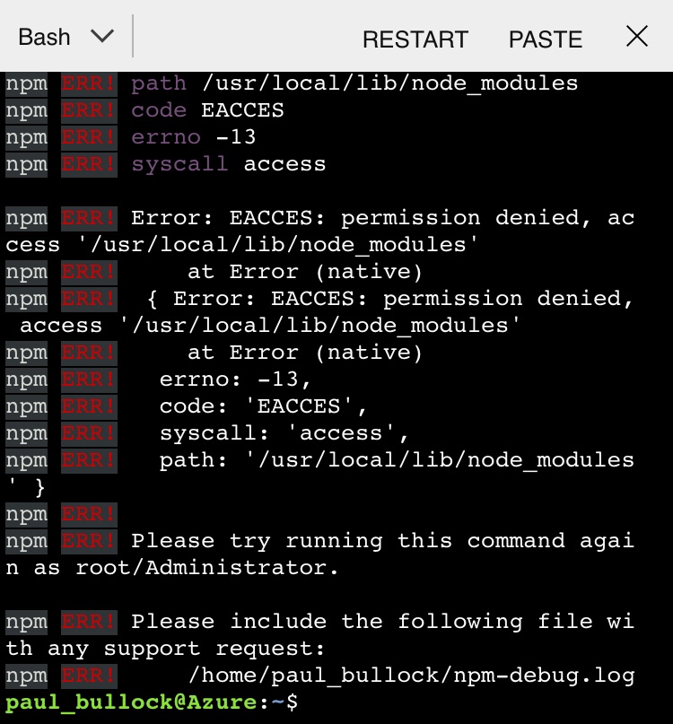 Example connection error when running the NPM install command
